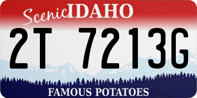 ID license plate 2T7213G