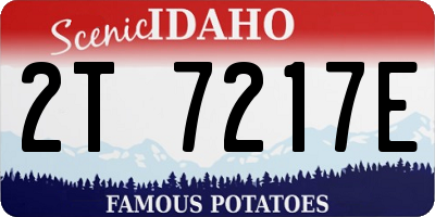 ID license plate 2T7217E