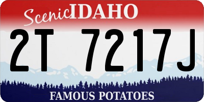 ID license plate 2T7217J