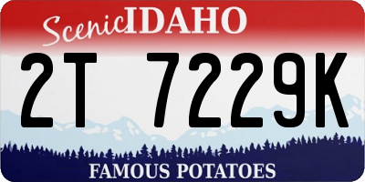 ID license plate 2T7229K