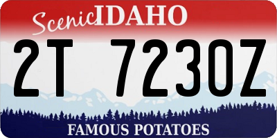 ID license plate 2T7230Z