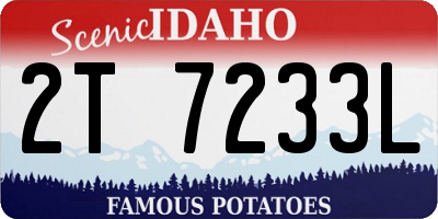 ID license plate 2T7233L