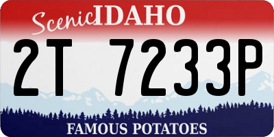 ID license plate 2T7233P
