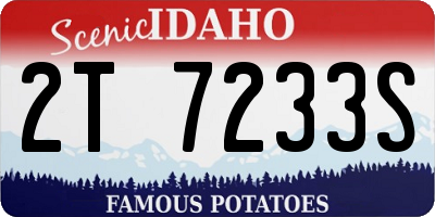 ID license plate 2T7233S