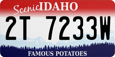 ID license plate 2T7233W