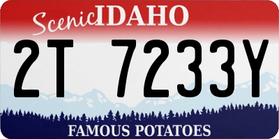 ID license plate 2T7233Y