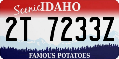 ID license plate 2T7233Z