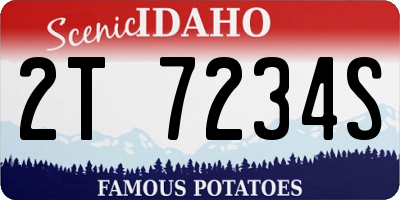 ID license plate 2T7234S