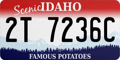 ID license plate 2T7236C