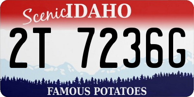 ID license plate 2T7236G