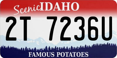 ID license plate 2T7236U