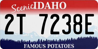 ID license plate 2T7238E