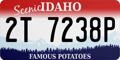 ID license plate 2T7238P