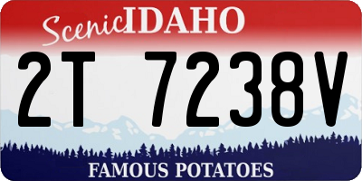 ID license plate 2T7238V