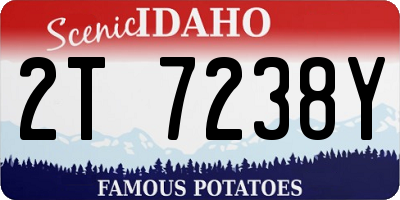 ID license plate 2T7238Y