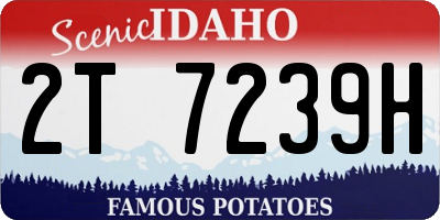 ID license plate 2T7239H
