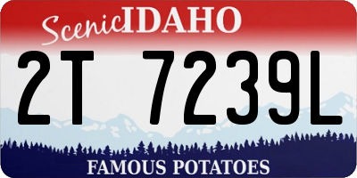 ID license plate 2T7239L