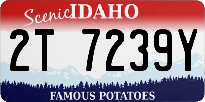 ID license plate 2T7239Y