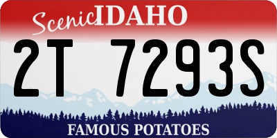 ID license plate 2T7293S