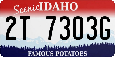 ID license plate 2T7303G