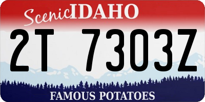 ID license plate 2T7303Z