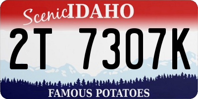 ID license plate 2T7307K