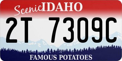 ID license plate 2T7309C