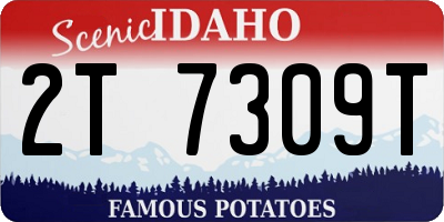 ID license plate 2T7309T
