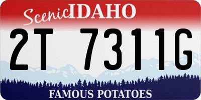 ID license plate 2T7311G