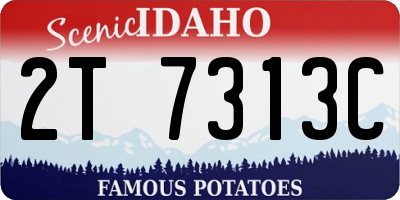 ID license plate 2T7313C