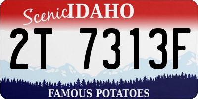 ID license plate 2T7313F