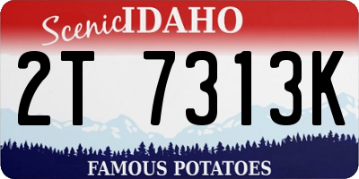 ID license plate 2T7313K