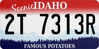 ID license plate 2T7313R