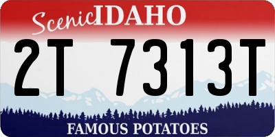ID license plate 2T7313T