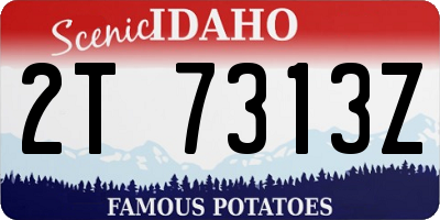 ID license plate 2T7313Z
