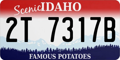 ID license plate 2T7317B