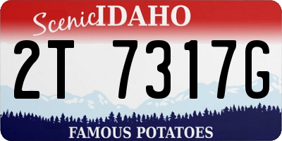 ID license plate 2T7317G
