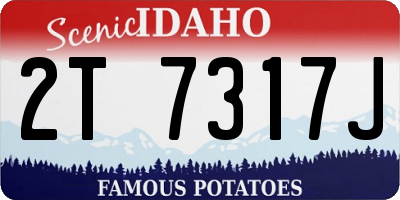 ID license plate 2T7317J