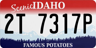 ID license plate 2T7317P