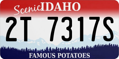 ID license plate 2T7317S