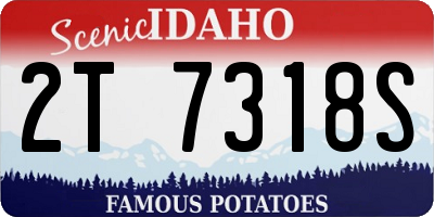 ID license plate 2T7318S
