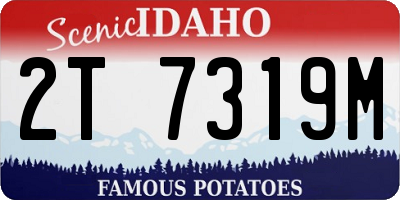 ID license plate 2T7319M
