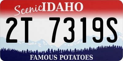ID license plate 2T7319S