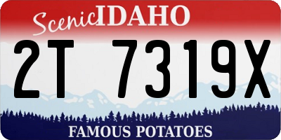 ID license plate 2T7319X
