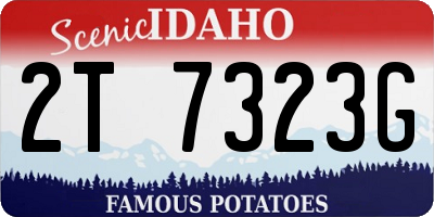 ID license plate 2T7323G