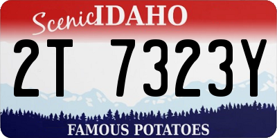ID license plate 2T7323Y