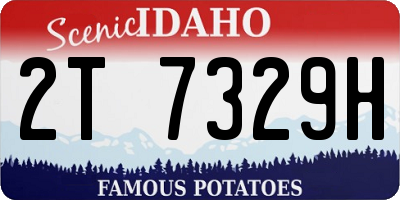 ID license plate 2T7329H