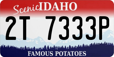 ID license plate 2T7333P