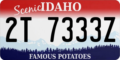 ID license plate 2T7333Z