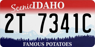 ID license plate 2T7341C